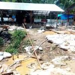 Tambang Emas Ilegal Bebas Beroperasi, Kapolres Mandailing Natal Dipertanyakan