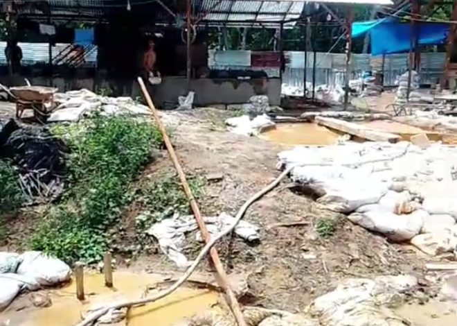 Tambang Emas Ilegal Bebas Beroperasi, Kapolres Mandailing Natal Dipertanyakan